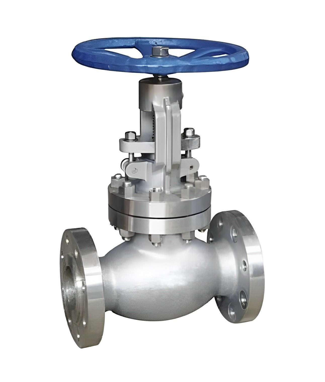 Stainless Steel 316 Globe Valve